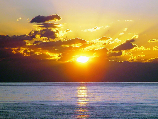 24349 (a): :1600x1200